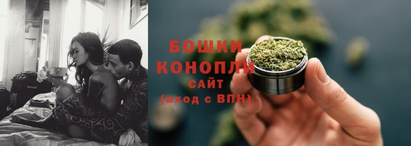 ПСИЛОЦИБИНОВЫЕ ГРИБЫ Балабаново