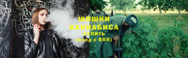 ПСИЛОЦИБИНОВЫЕ ГРИБЫ Балабаново