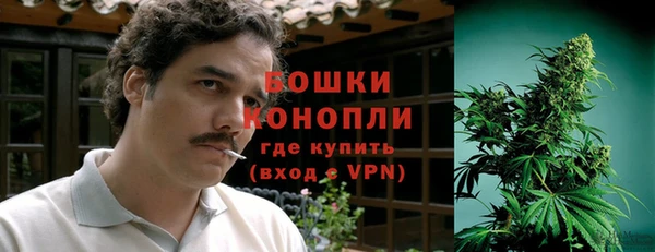 гидра Баксан