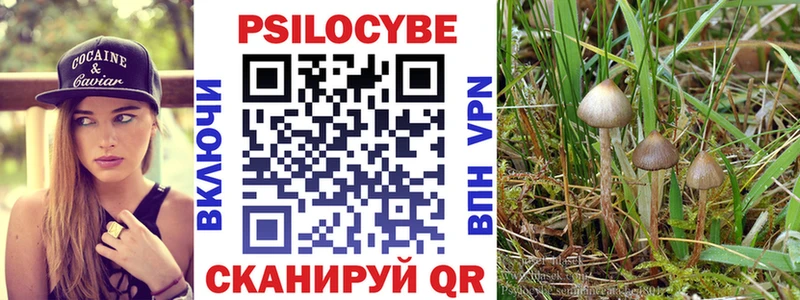 ОМГ ОМГ как войти  как найти закладки  Курчалой  Псилоцибиновые грибы GOLDEN TEACHER 